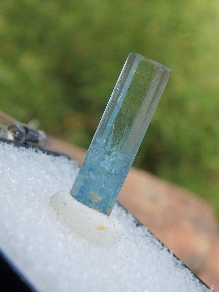 Gemmy Aquamarine Point in Collectors Box From Namibia - Earth Family Crystals