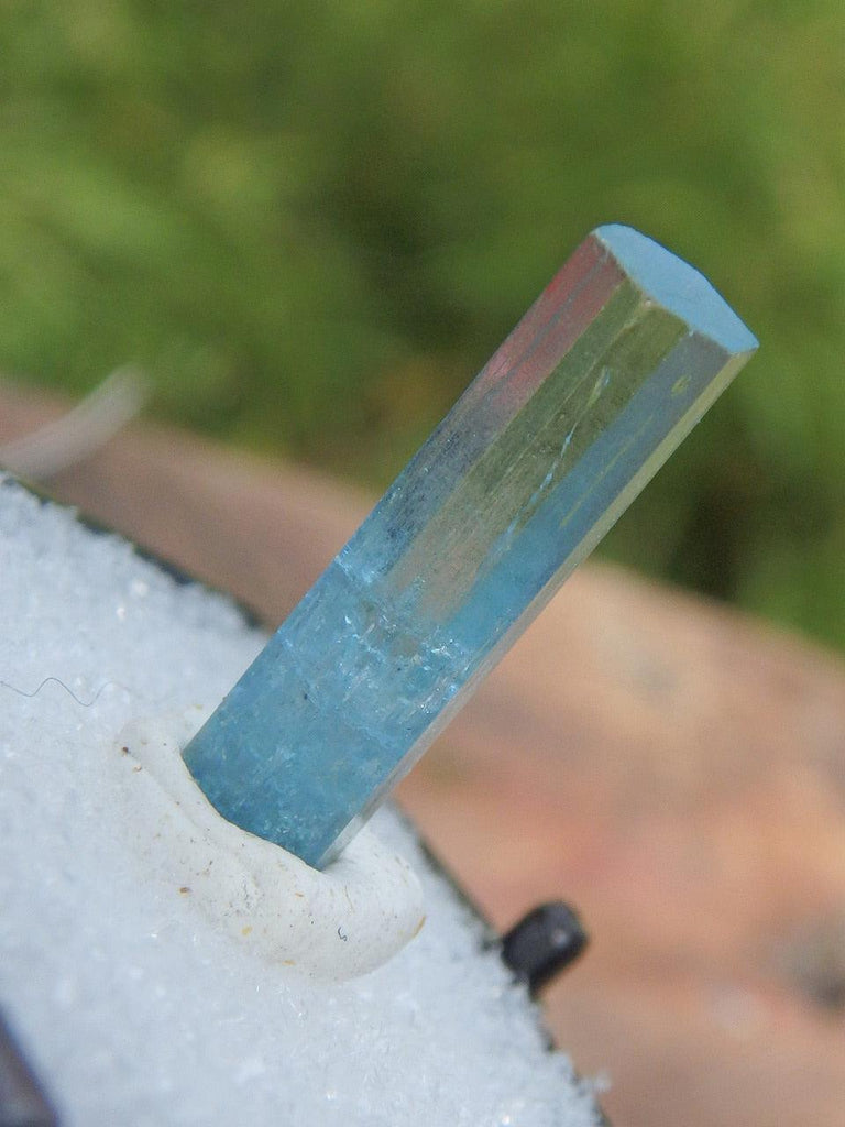 Gemmy Aquamarine Point in Collectors Box From Namibia - Earth Family Crystals