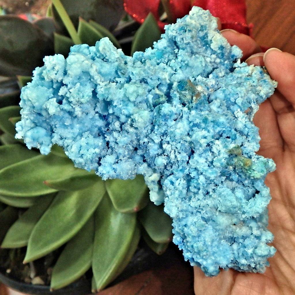 Intricate & Gorgeous Large Electric Blue Aragonite Specimen - Earth Family Crystals