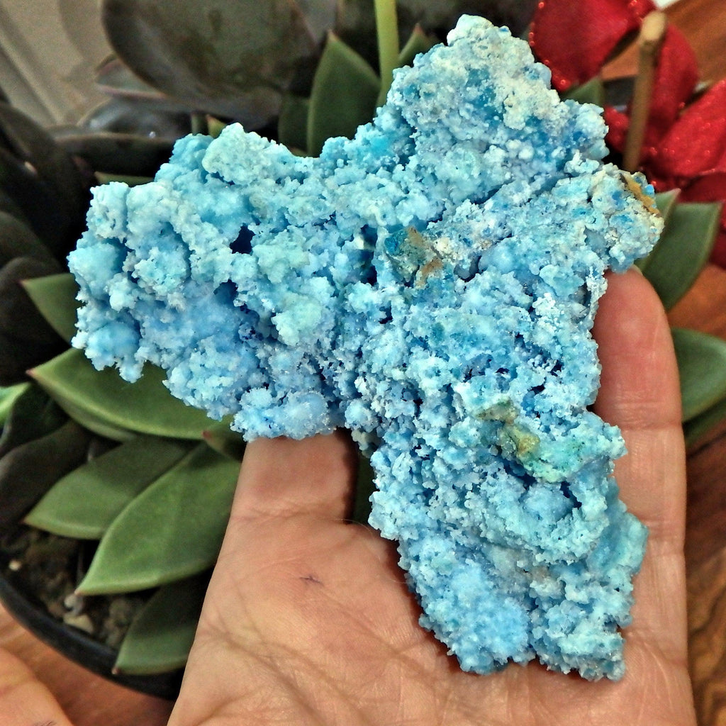 Intricate & Gorgeous Large Electric Blue Aragonite Specimen - Earth Family Crystals