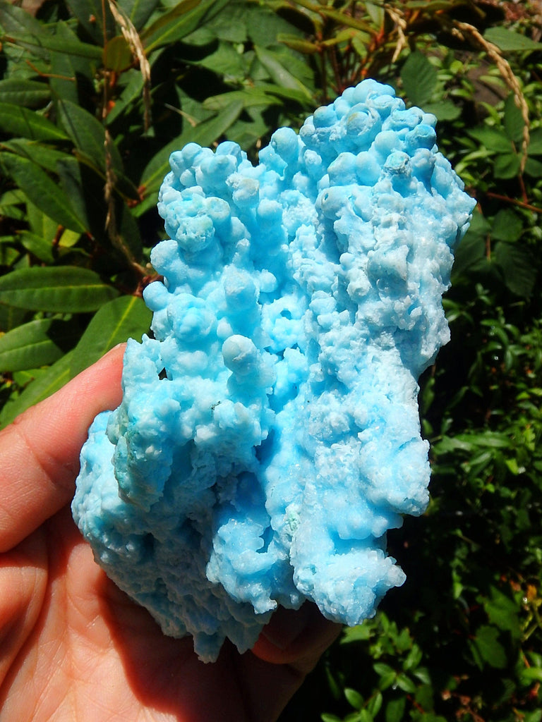 Incredible Cotton Candy Blue Aragonite 3D Depth Natural Specimen - Earth Family Crystals