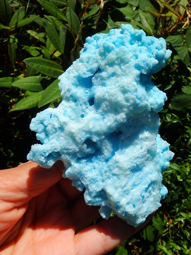 Incredible Cotton Candy Blue Aragonite 3D Depth Natural Specimen - Earth Family Crystals