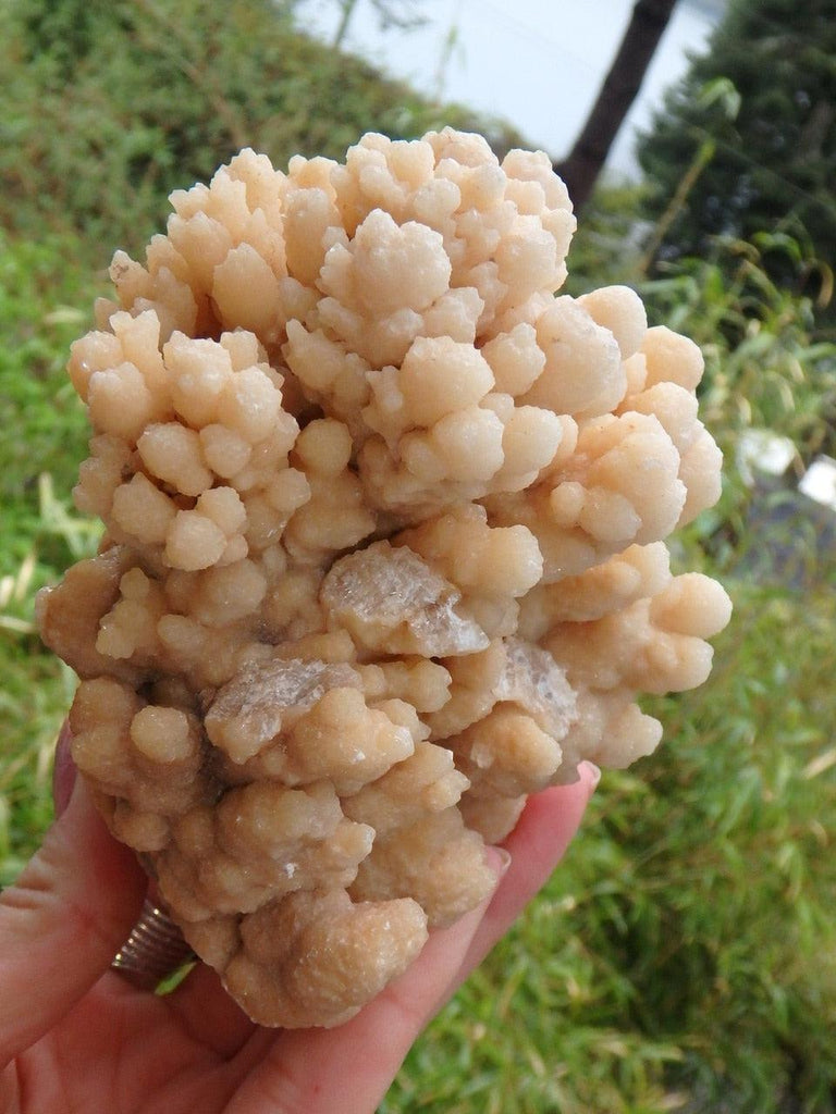 Pretty Large Peach Calcite Flower Display Specimen - Earth Family Crystals