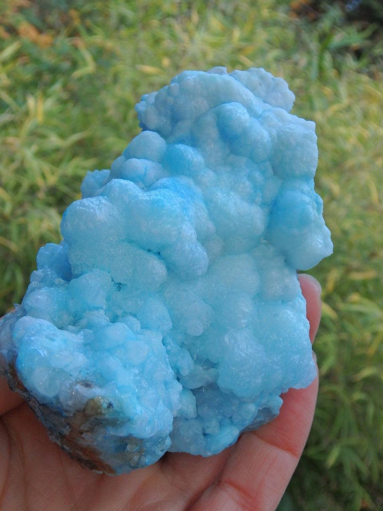 Gorgeous Cotton Candy Blue Aragonite Cluster - Earth Family Crystals