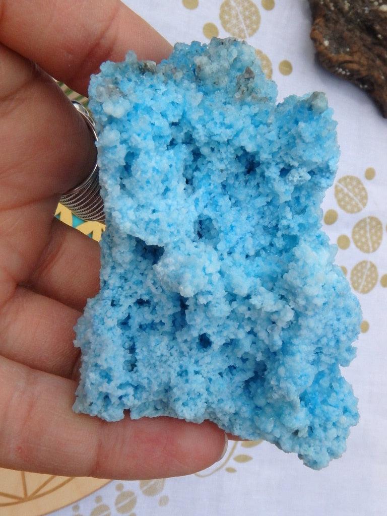 Rare! Very Vibrant Blue Aragonite Crystal Cluster - Earth Family Crystals