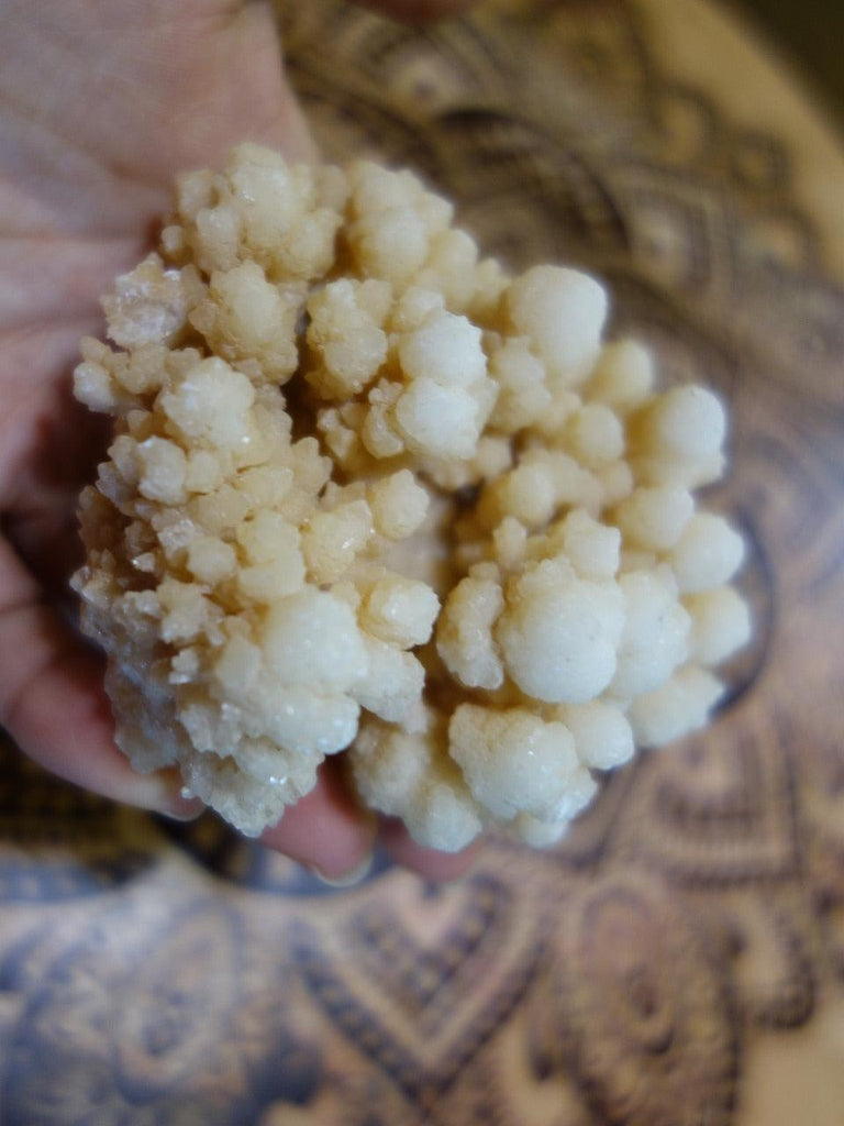 Peachy Pink Large Natural Calcite Flower Cluster - Earth Family Crystals
