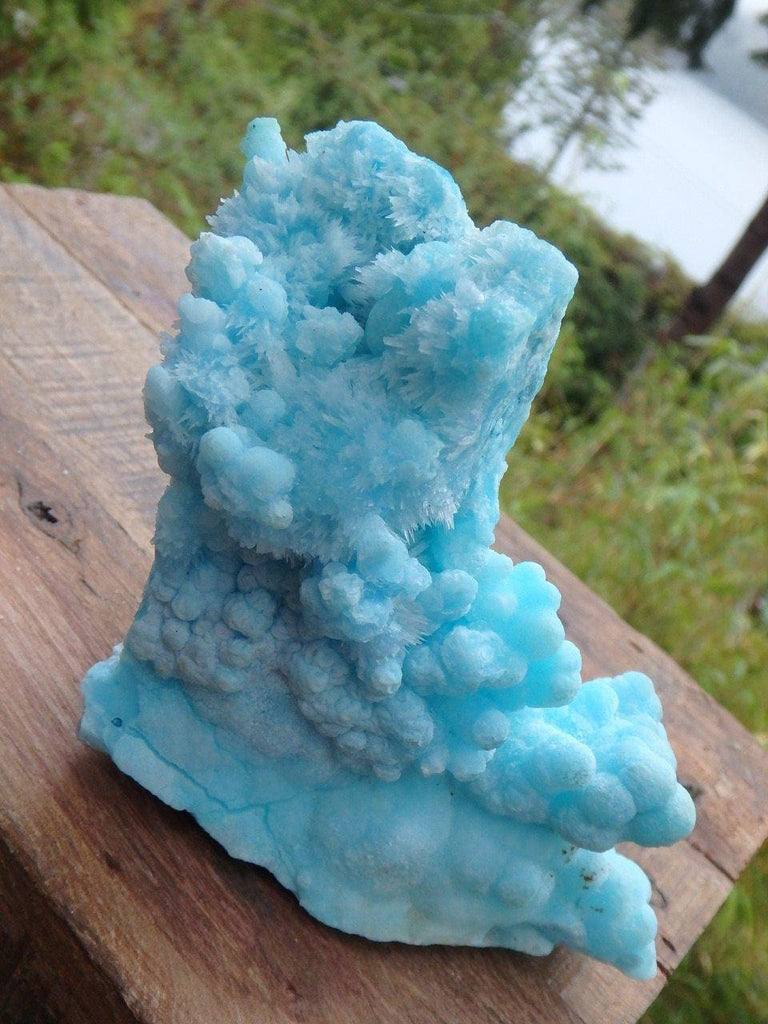 Amazing Large Vibrant Blue Aragonite Natural Standing Specimen - Earth Family Crystals