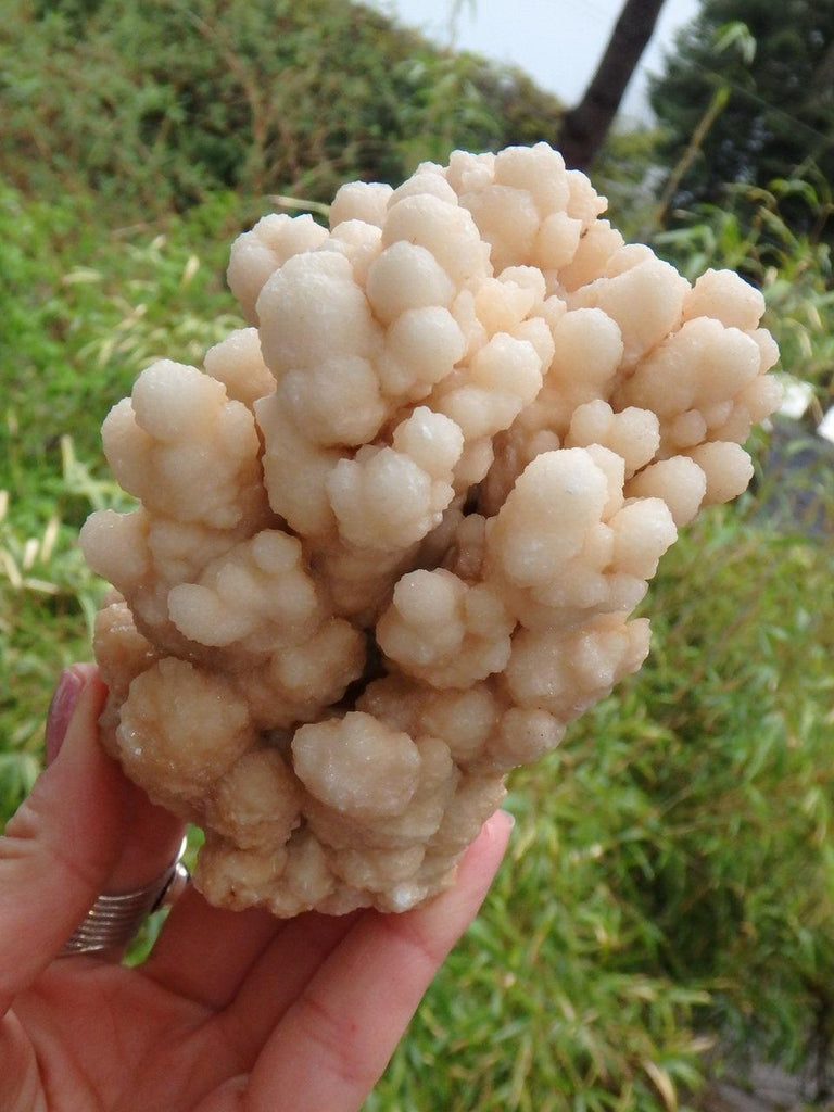 Pretty Large Peach Calcite Flower Display Specimen - Earth Family Crystals