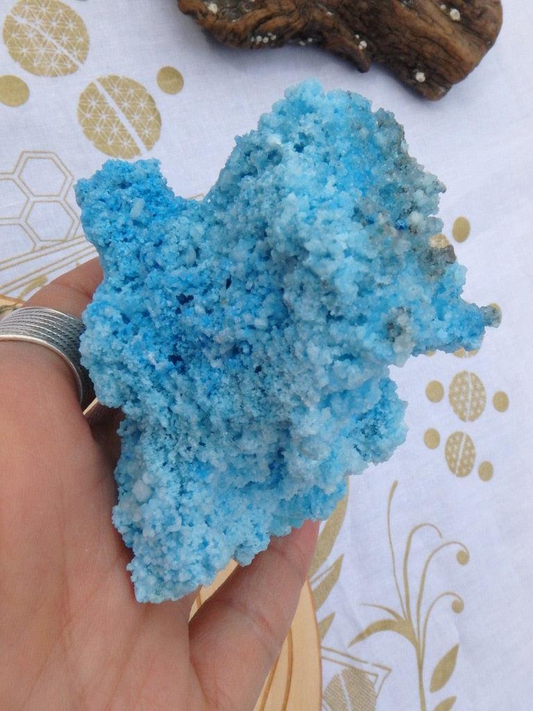 Rare! Very Vibrant Blue Aragonite Crystal Cluster - Earth Family Crystals