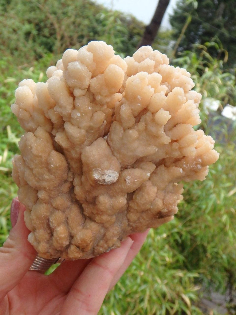 Pretty Large Peach Calcite Flower Display Specimen - Earth Family Crystals