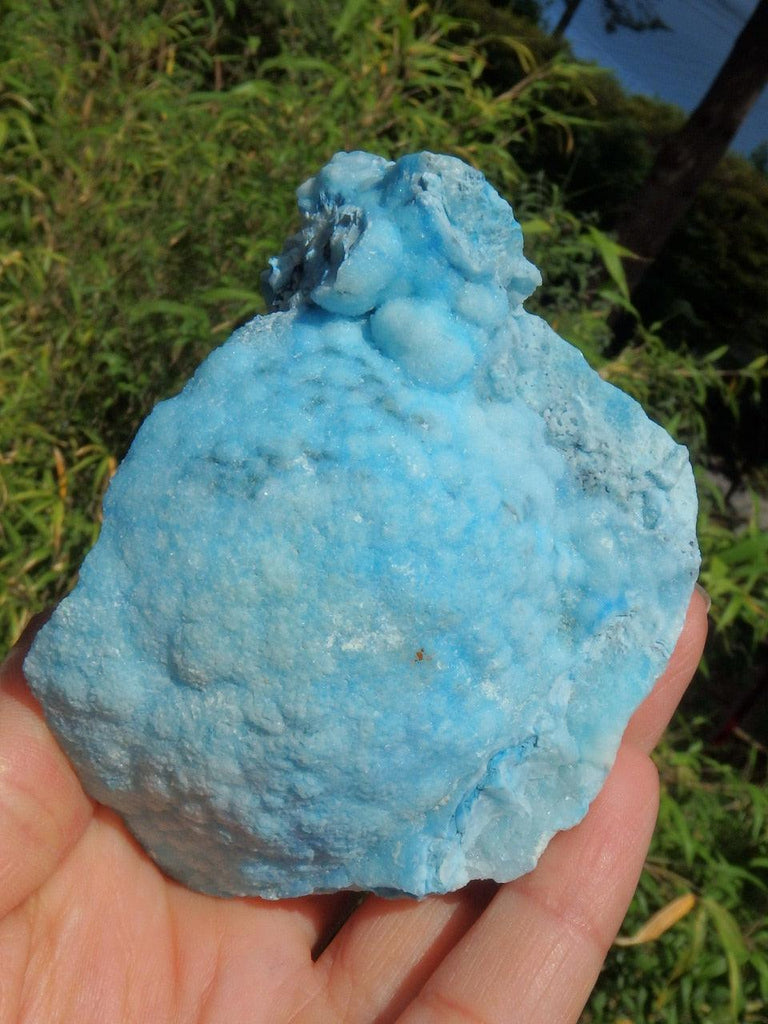 Unusual Formation Vibrant Cotton Candy Blue Aragonite Specimen - Earth Family Crystals