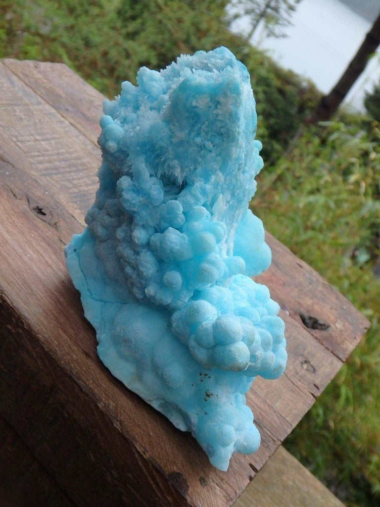 Amazing Large Vibrant Blue Aragonite Natural Standing Specimen - Earth Family Crystals