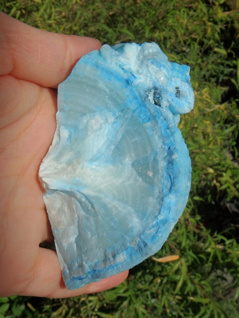 Unusual Formation Vibrant Cotton Candy Blue Aragonite Specimen - Earth Family Crystals