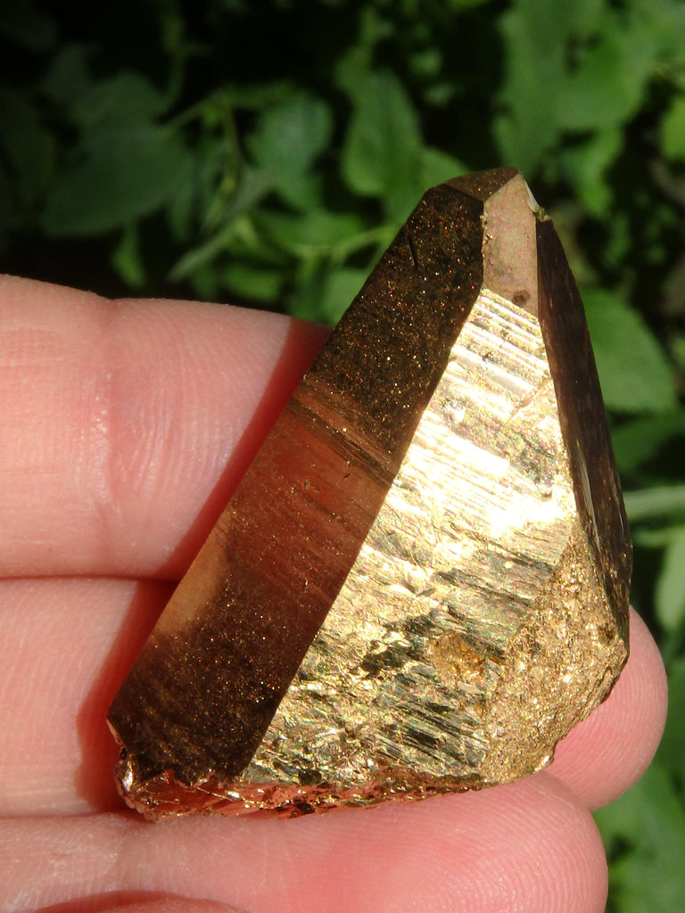 Shiny Gold Aura Quartz Point with Self Healing & Record Keepers - Earth Family Crystals