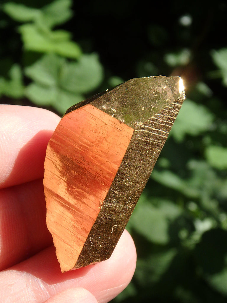 Shiny Gold Aura Quartz Point with Self Healing & Record Keepers - Earth Family Crystals