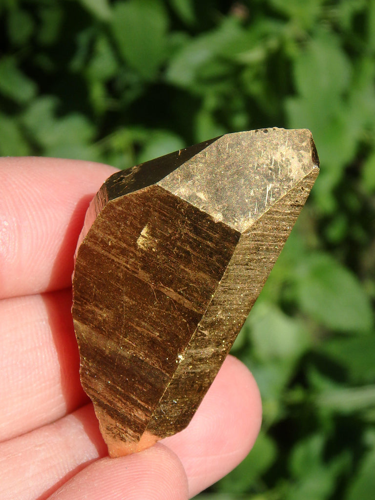 Shiny Gold Aura Quartz Point with Self Healing & Record Keepers - Earth Family Crystals