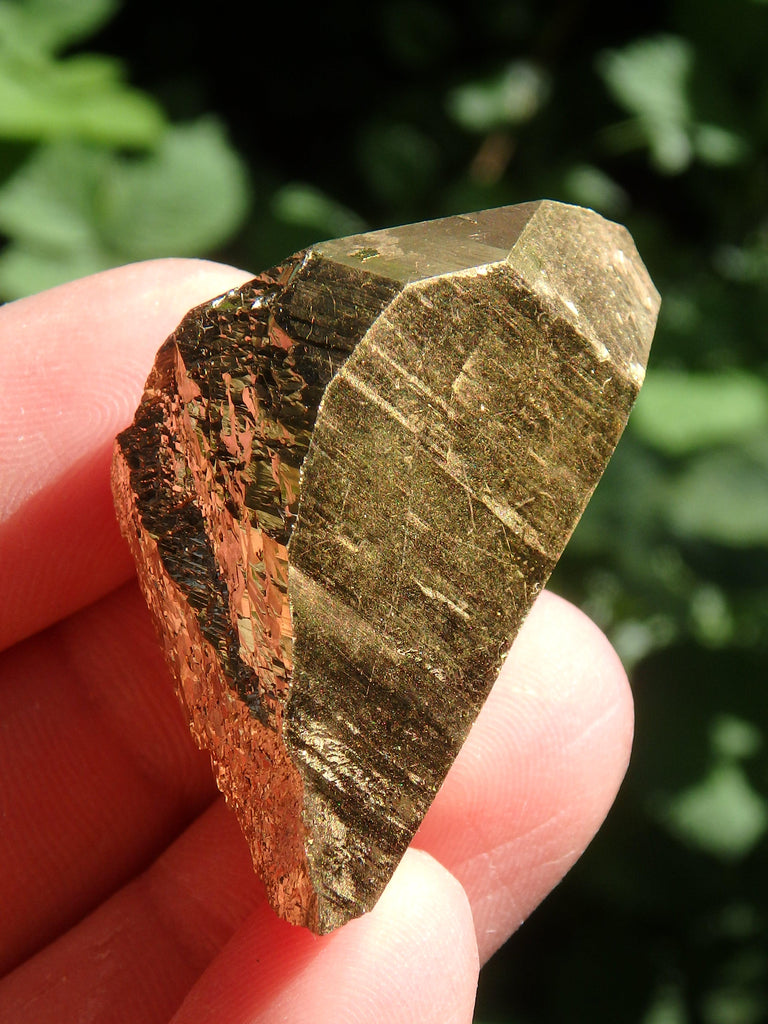 Shiny Gold Aura Quartz Point with Self Healing & Record Keepers - Earth Family Crystals