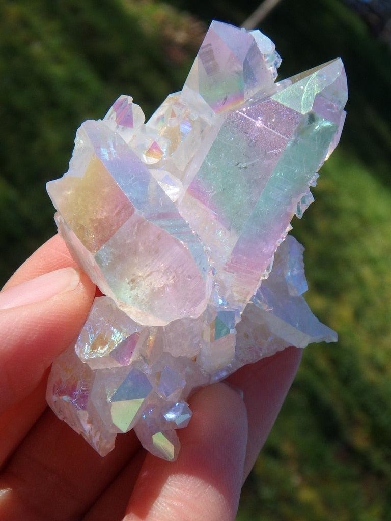 Opal Glow Large Angel Aura Quartz Cluster 2 - Earth Family Crystals