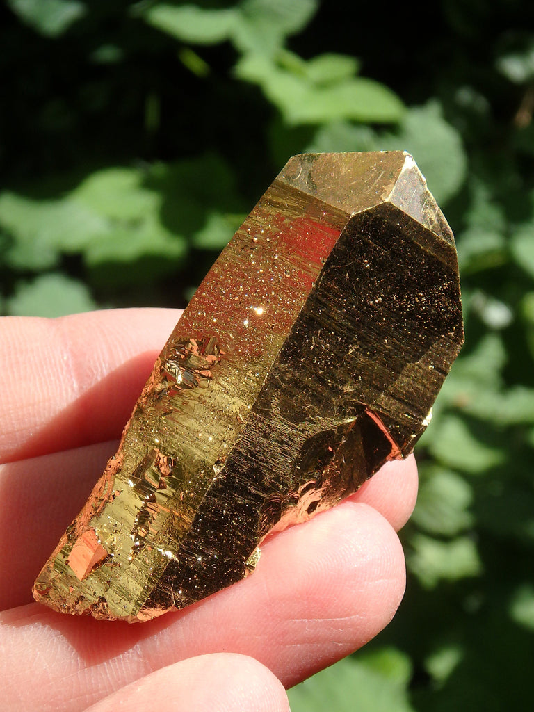 Brilliant DT Gold Aura Quartz Point With Record Keepers - Earth Family Crystals