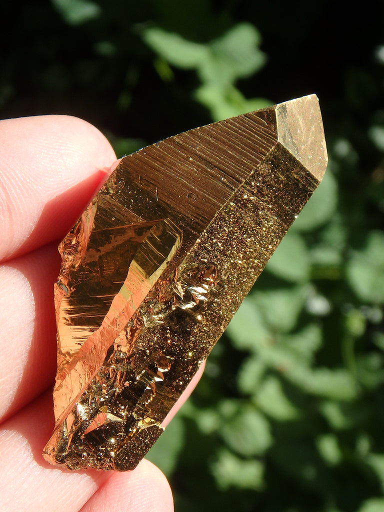 Brilliant DT Gold Aura Quartz Point With Record Keepers - Earth Family Crystals