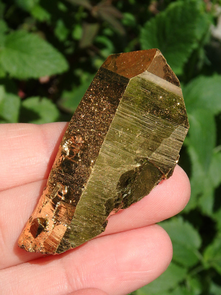 Brilliant DT Gold Aura Quartz Point With Record Keepers - Earth Family Crystals