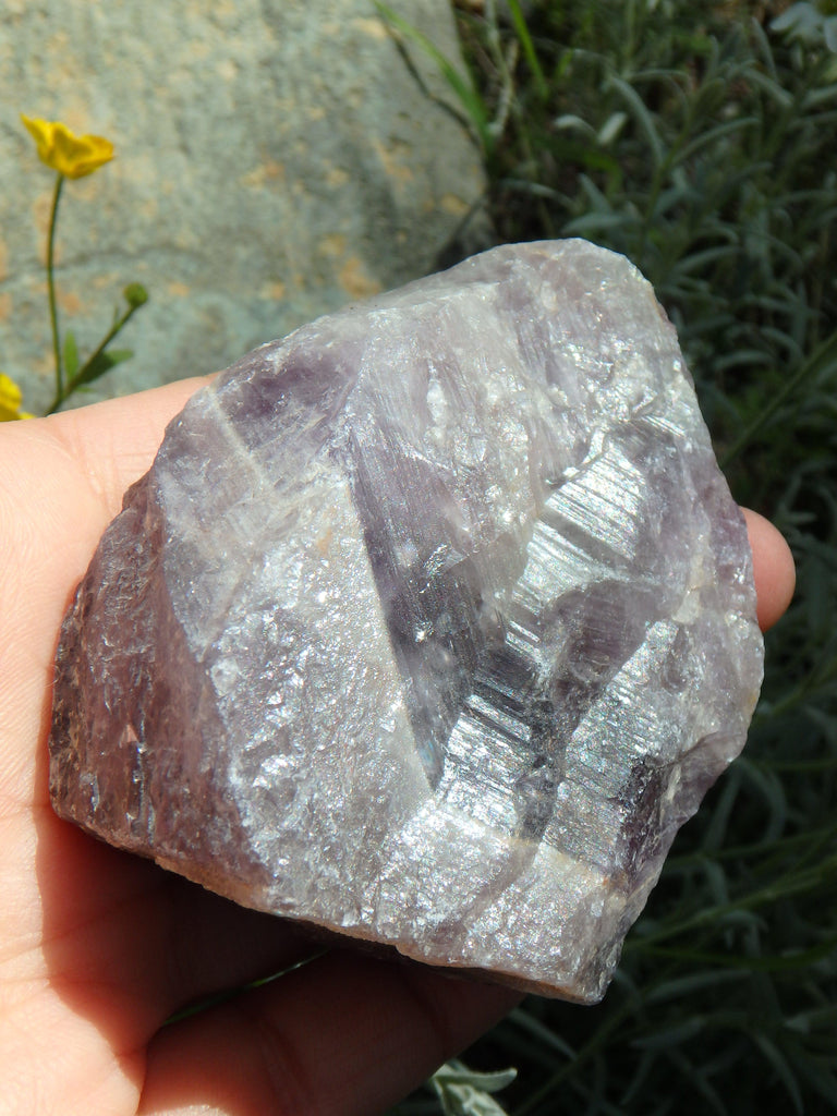 Standing Auralite-23 Canadian Reiki Stone Specimen - Earth Family Crystals