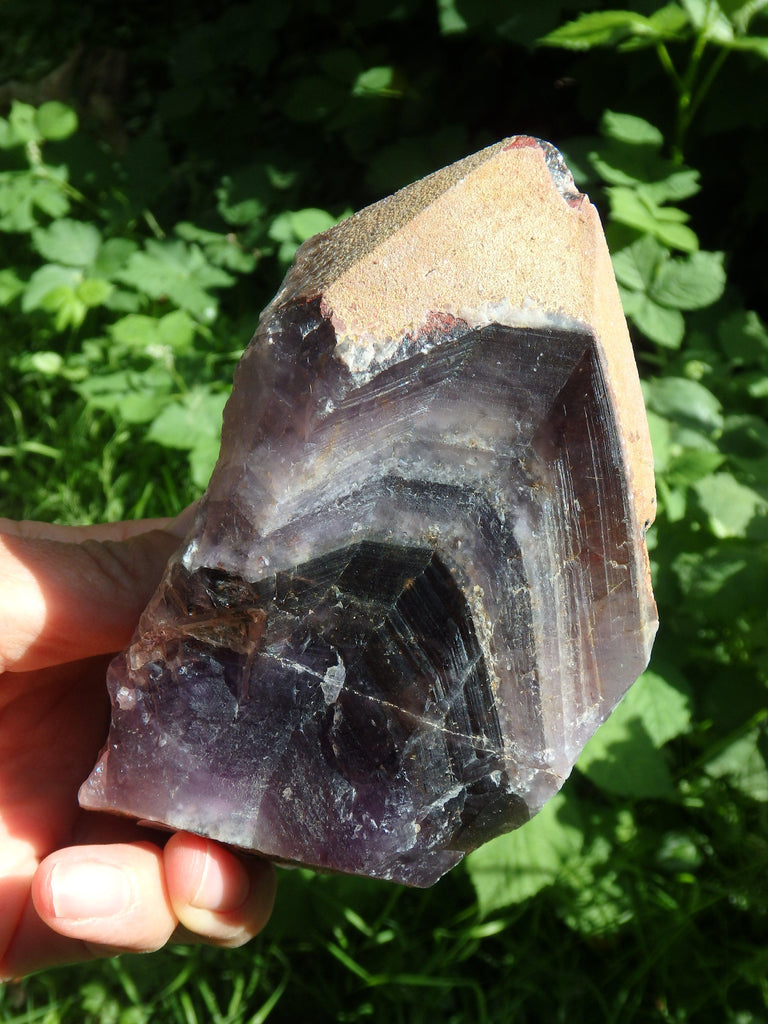 Deep Grape Purple & Record Keeper Hematite Tip Large Auralite-23 Point From Canada - Earth Family Crystals