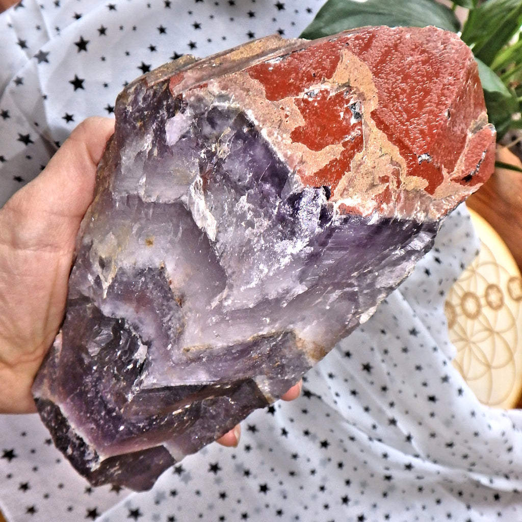 Incredible XXL Red Hematite & Quartz Druzy Crusted Tipped  Auralite-23 Point With Record Keepers From Ontario  Canada - Earth Family Crystals