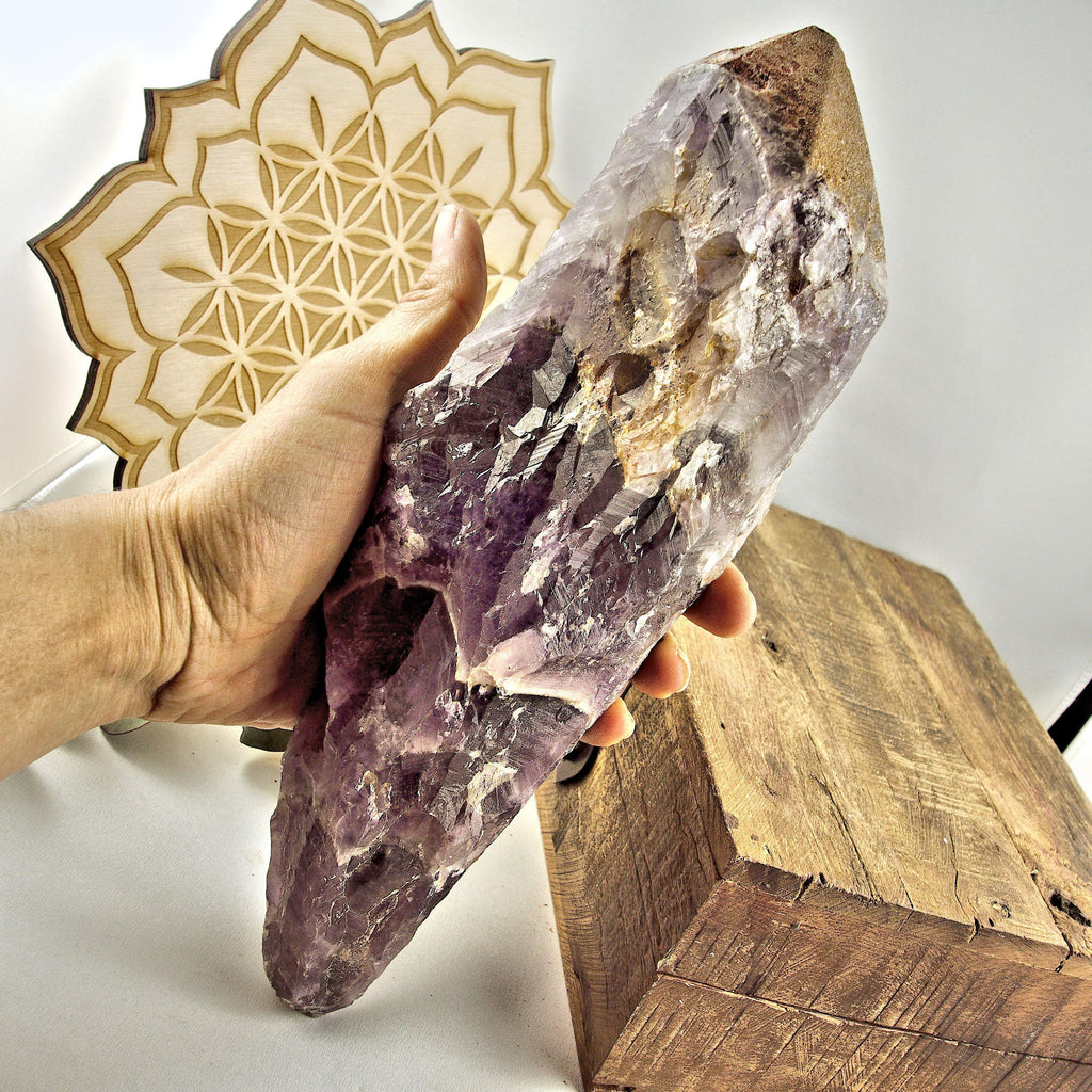 Incredible XXL Long & Powerful 1.5 KG ~Complete Genuine Canadian Auralite-23 Point With Hematite Druzy Capped Tip - Earth Family Crystals