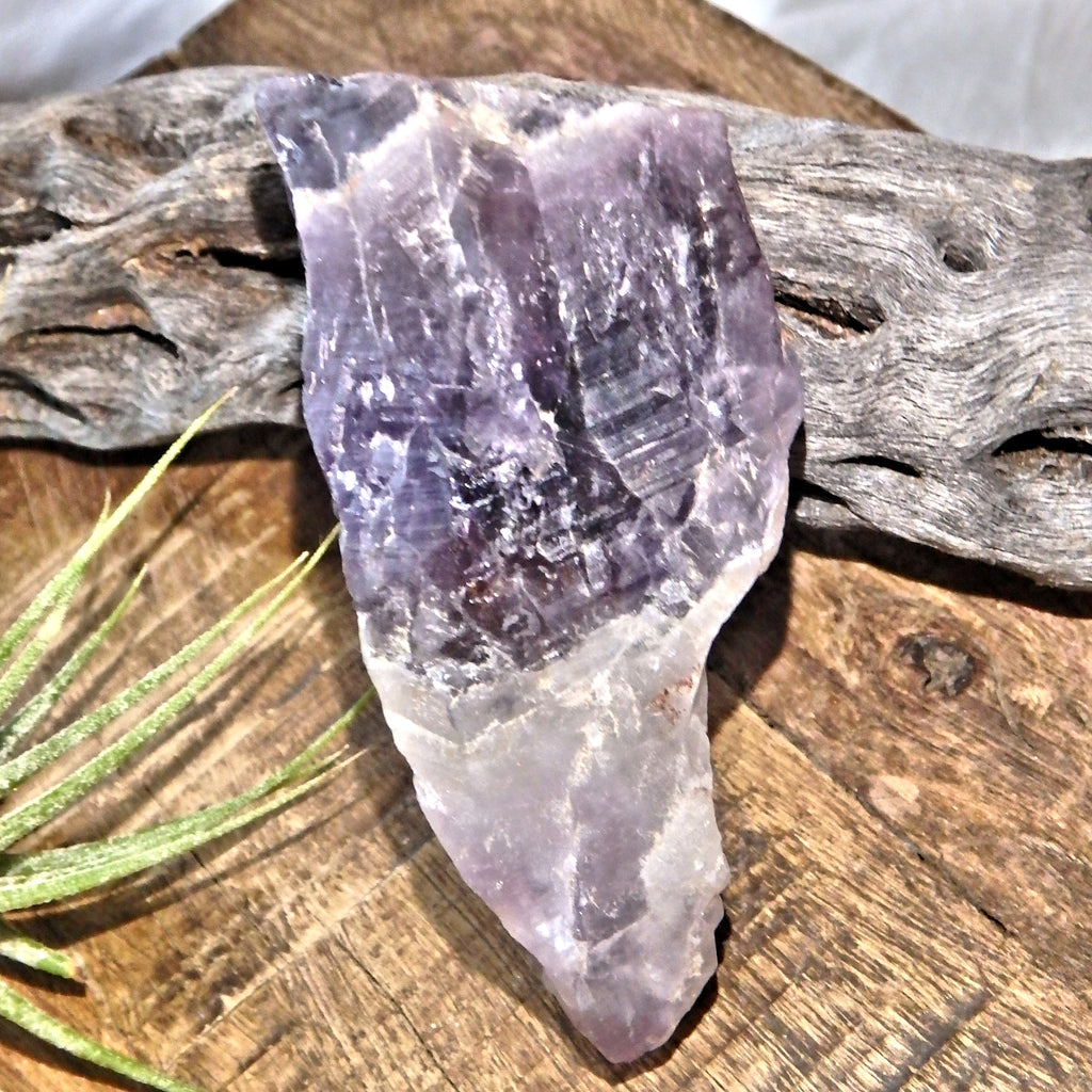 Gorgeous Deep Purple Auralite-23 Point From Ontario, Canada - Earth Family Crystals