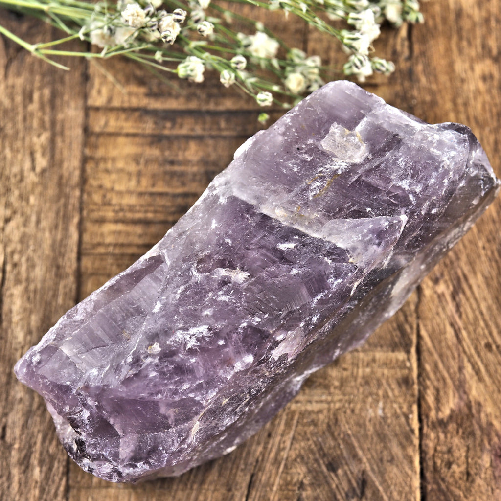 Deep Purple Genuine Auralite-23 Point From Ontario, Canada #1 - Earth Family Crystals