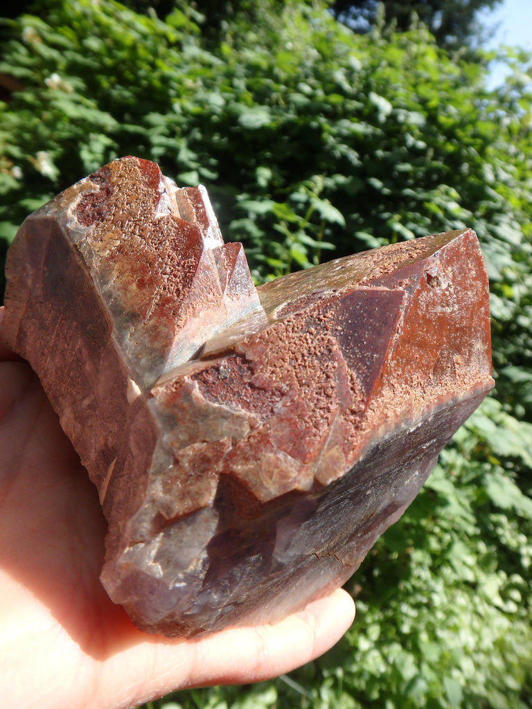 Incredible Red Mountain Large Auralite-23 Reiki Stone Standing Specimen With Record Keepers From Canada - Earth Family Crystals