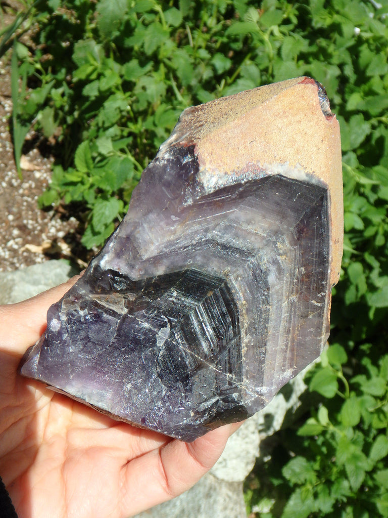 Deep Grape Purple & Record Keeper Hematite Tip Large Auralite-23 Point From Canada - Earth Family Crystals