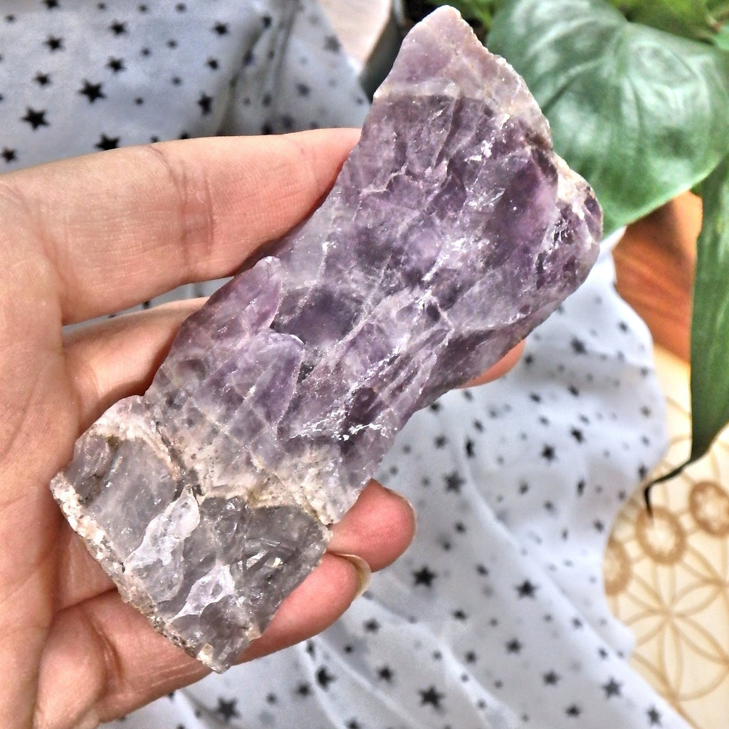 Dark Purple Genuine Canadian Auralite-23 Healing Point - Earth Family Crystals