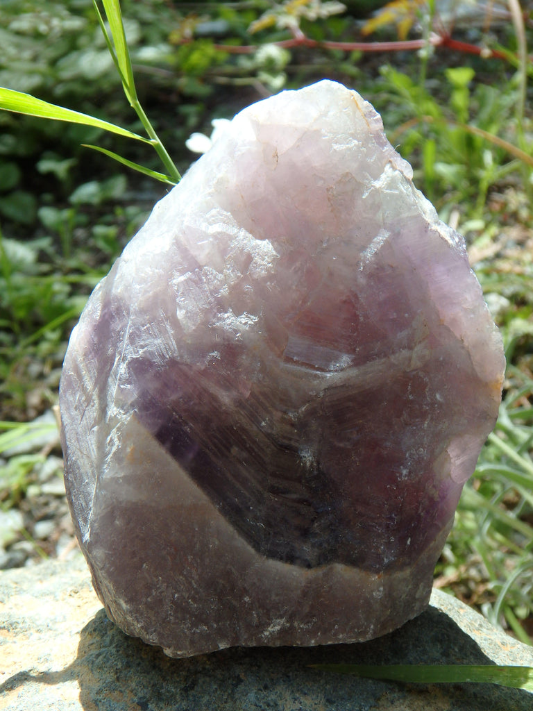 Standing Auralite-23 Canadian Reiki Stone Specimen - Earth Family Crystals