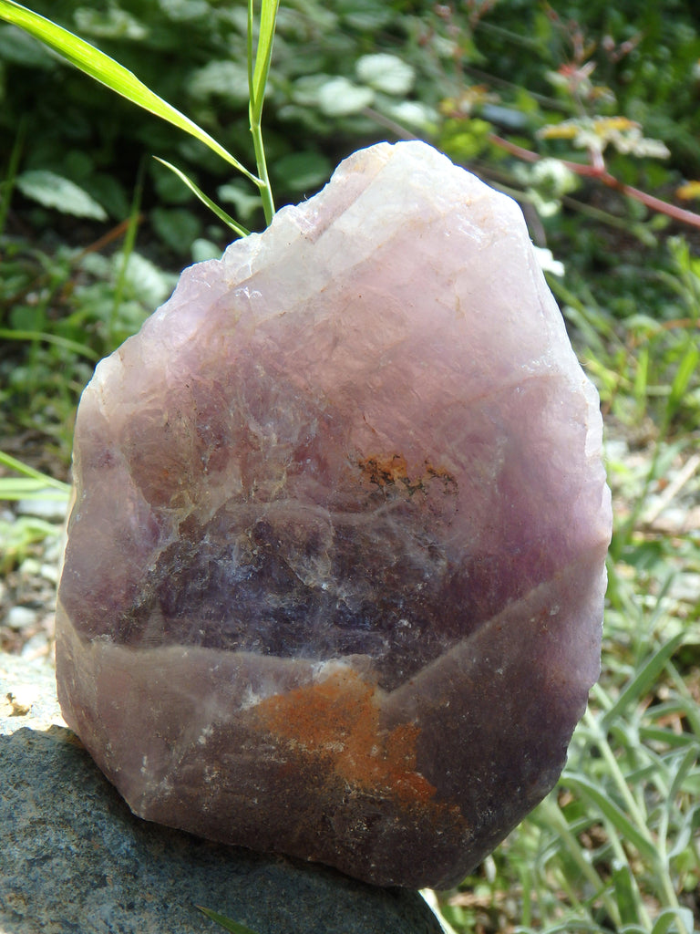 Standing Auralite-23 Canadian Reiki Stone Specimen - Earth Family Crystals