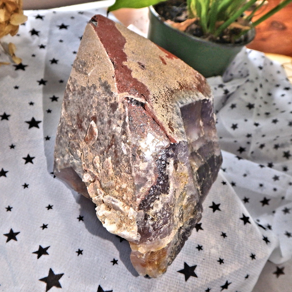 Record Keeper & Red Hematite Large Standing Display Point Auralite-23 From Canada - Earth Family Crystals