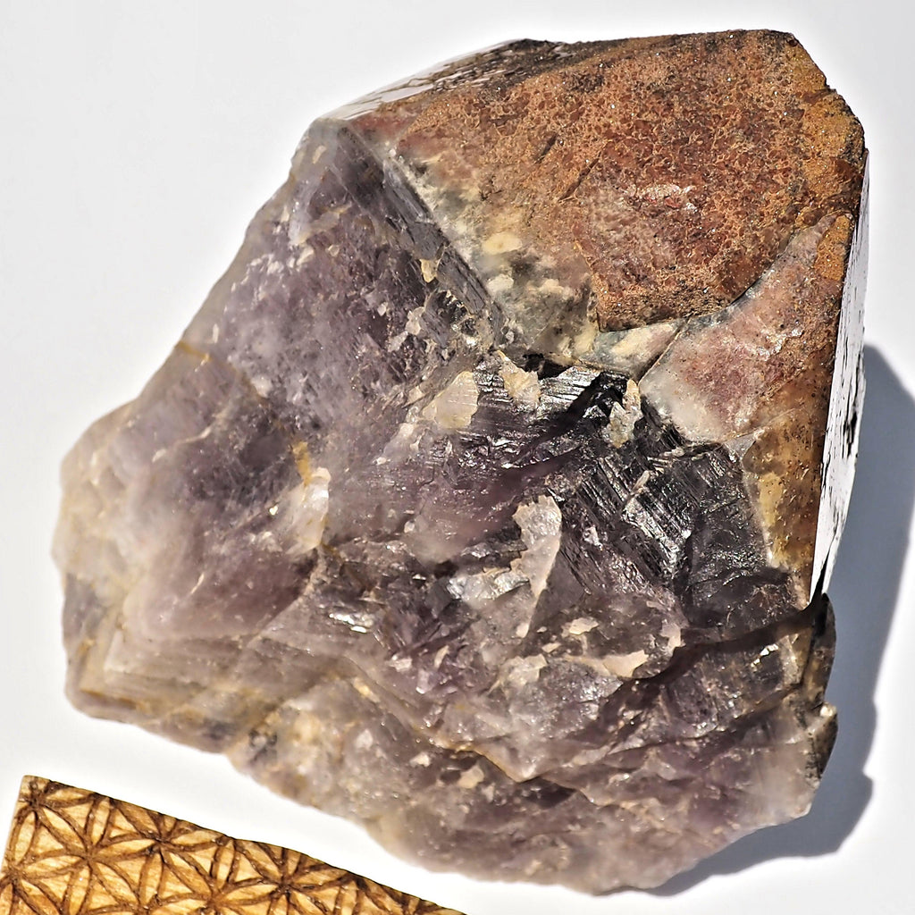 Extreme Healing Canadian Auralite-23 Perfect Point Elestial Natural Standing Specimen - Earth Family Crystals