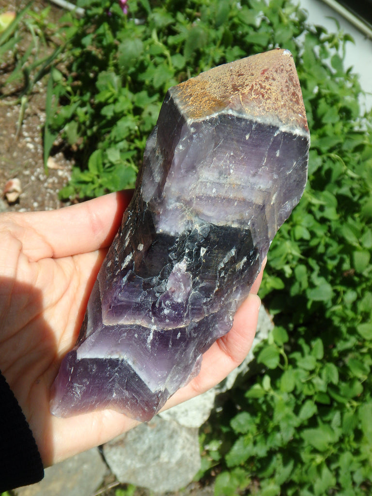 Deep Grape Purple & Record Keeper Hematite Tip Large Auralite-23 Point From Canada - Earth Family Crystals