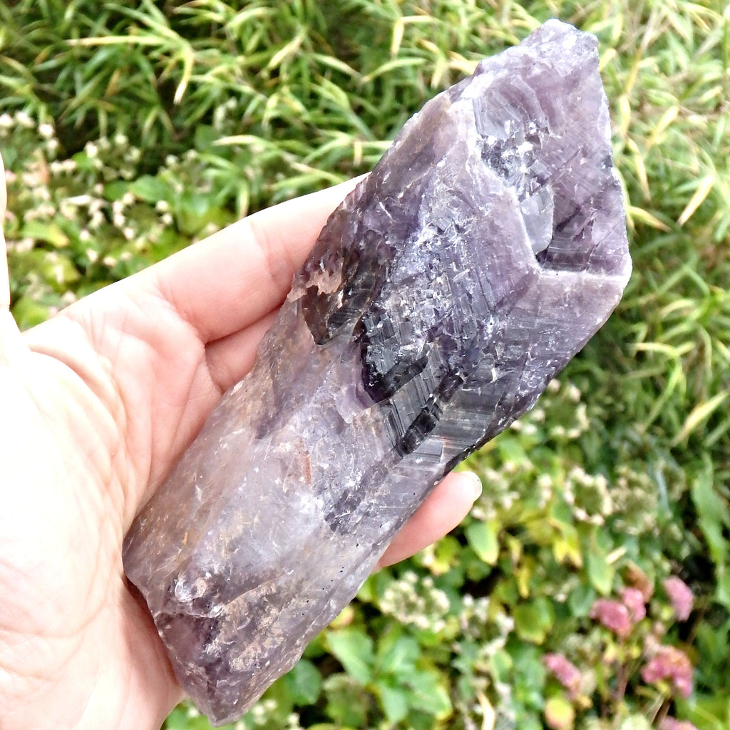 Powerful XL Deep Purple  Auralite-23 Point From Ontario, Canada - Earth Family Crystals