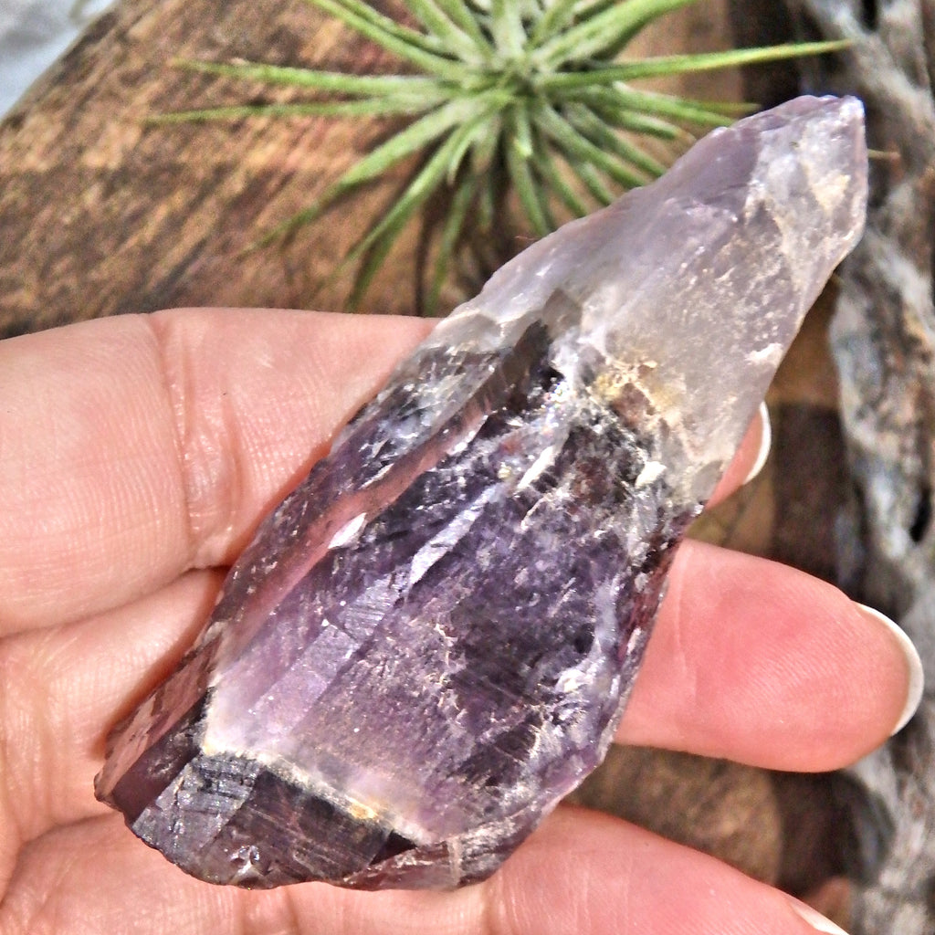 Gorgeous Deep Purple Auralite-23 Point From Ontario, Canada - Earth Family Crystals
