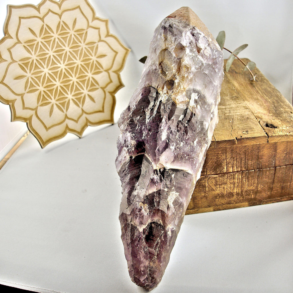 Incredible XXL Long & Powerful 1.5 KG ~Complete Genuine Canadian Auralite-23 Point With Hematite Druzy Capped Tip - Earth Family Crystals