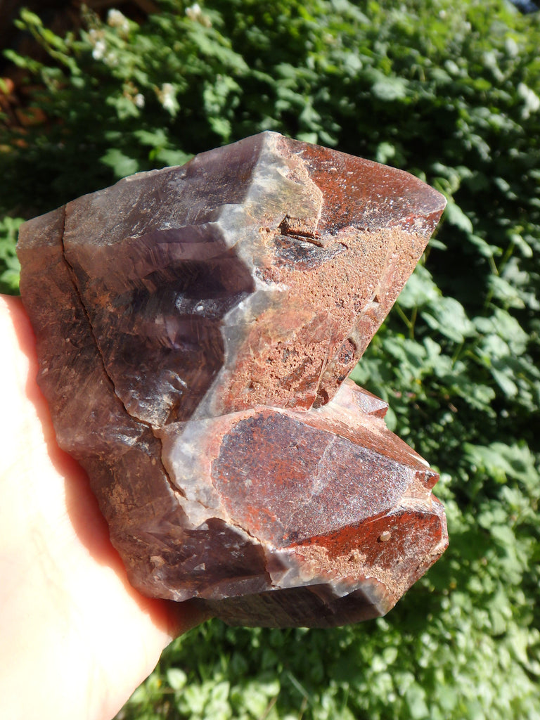 Incredible Red Mountain Large Auralite-23 Reiki Stone Standing Specimen With Record Keepers From Canada - Earth Family Crystals