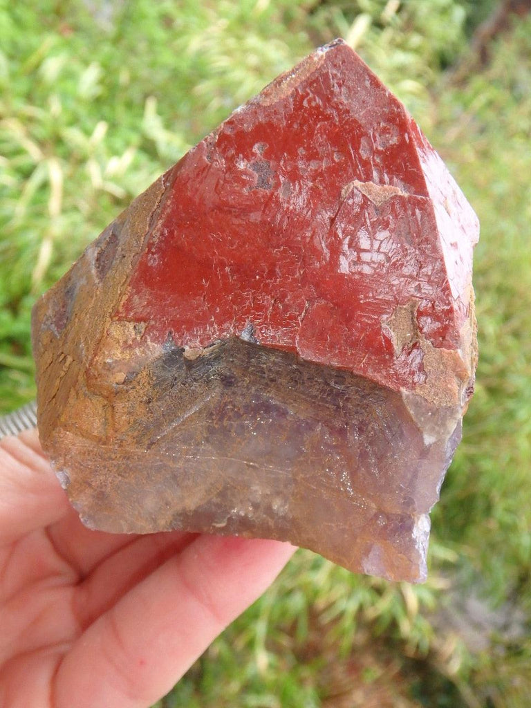 Record Keepers Galore! Genuine Auralite-23 Red Tipped Point Standing Specimen - Earth Family Crystals