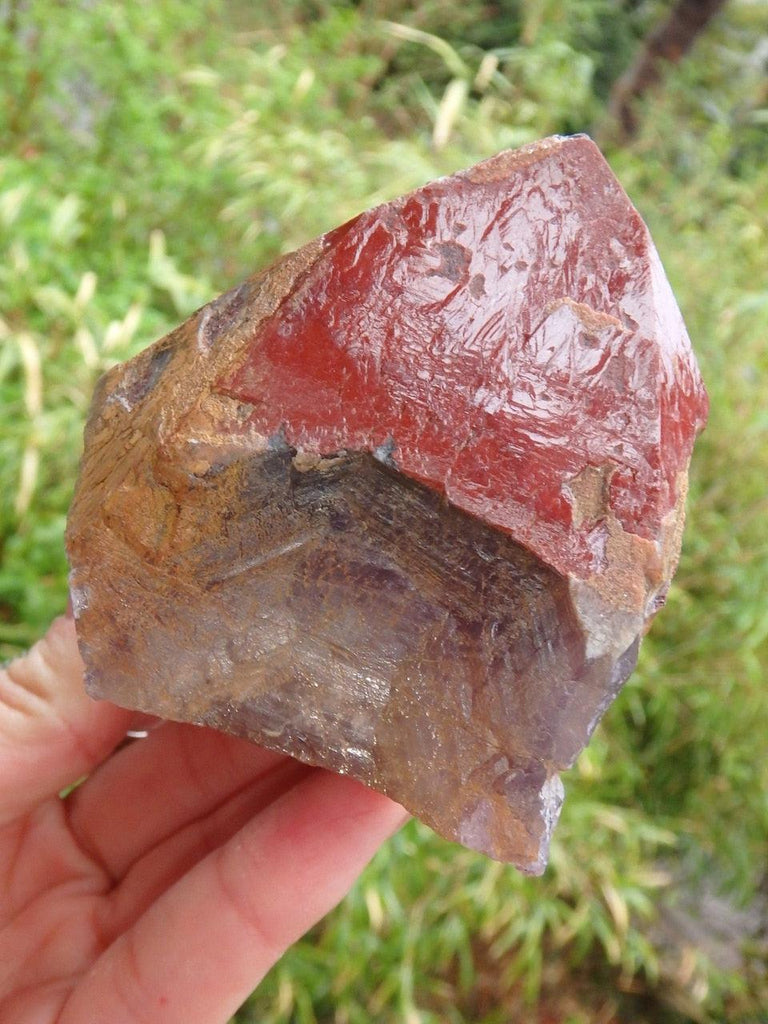 Record Keepers Galore! Genuine Auralite-23 Red Tipped Point Standing Specimen - Earth Family Crystals