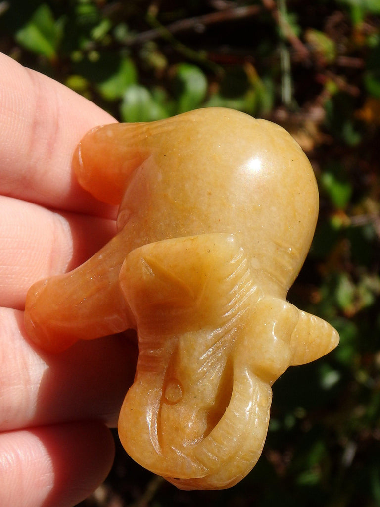 Adorable Orange Aventurine Elephant Carving - Earth Family Crystals