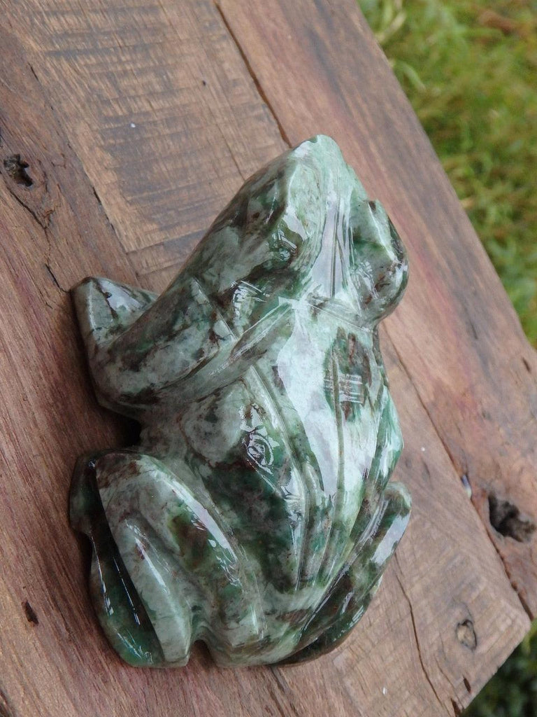 Lovely Patterns Glossy Green Aventurine Frog Carving - Earth Family Crystals