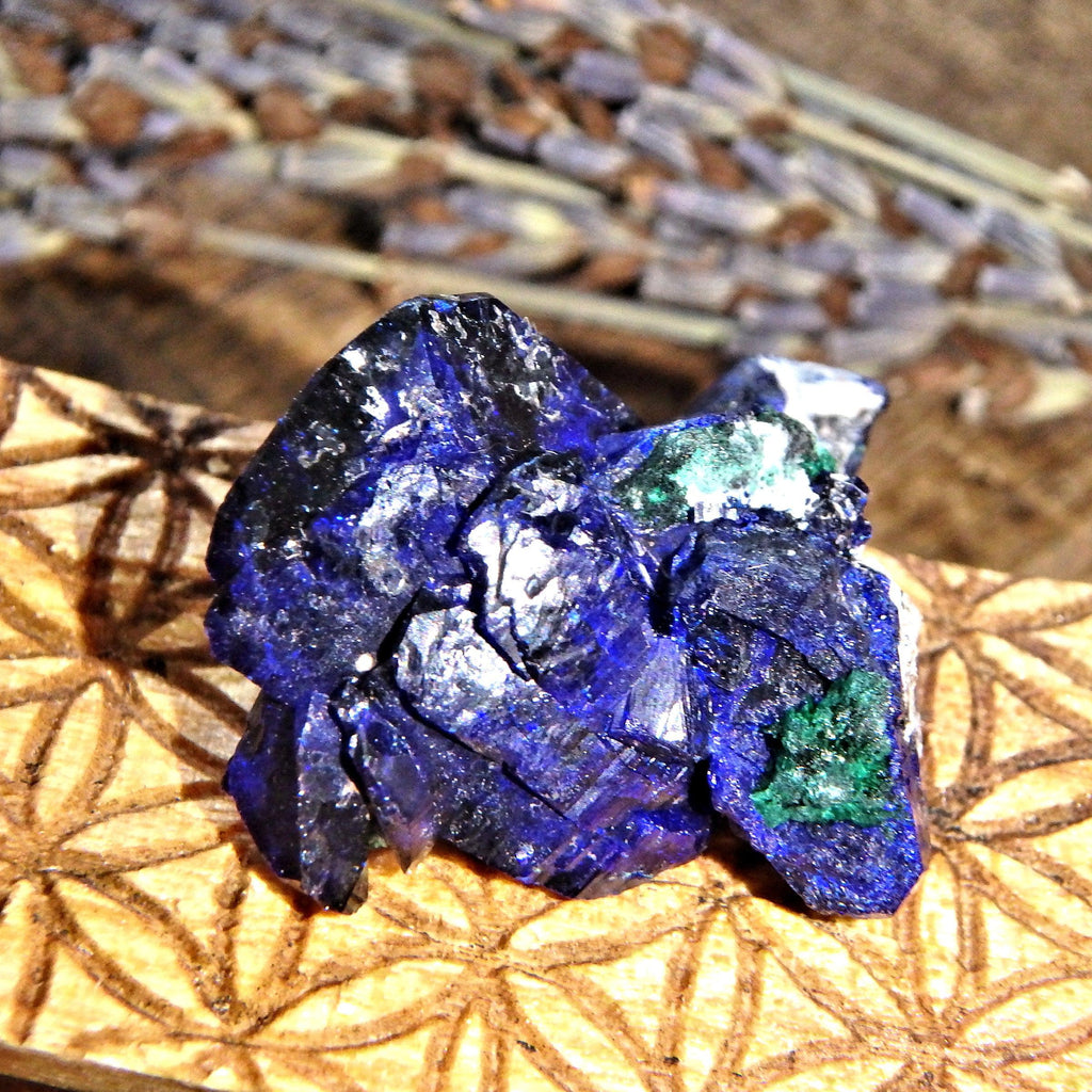 Fantastic Collectors Deep Blue Gemmy Dainty Azurite Crystal With Malachite Inclusions From Mexico 8 - Earth Family Crystals