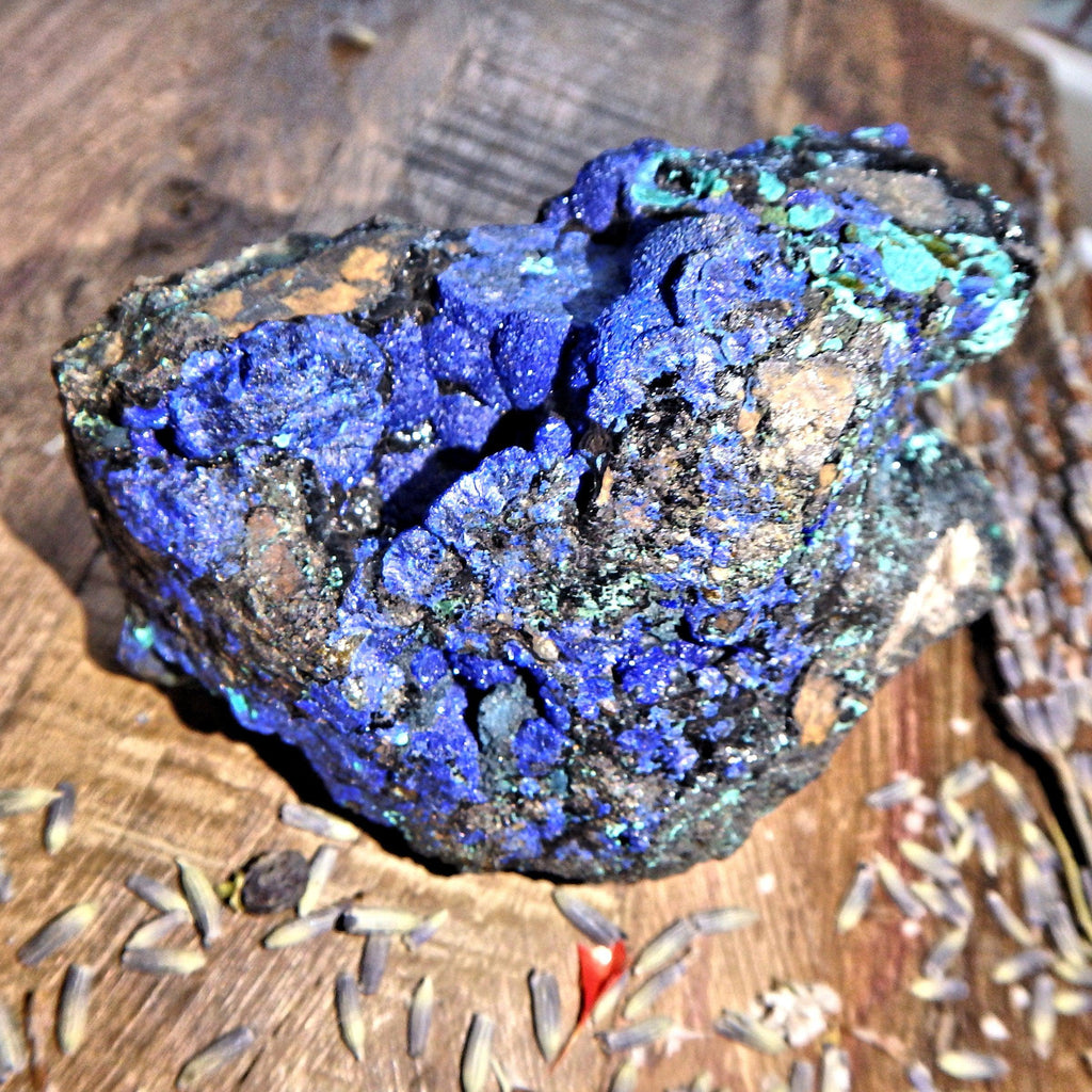 Gorgeous Cobalt Blue Azurite Druzy Geode With Malachite Inclusions From Arizona - Earth Family Crystals