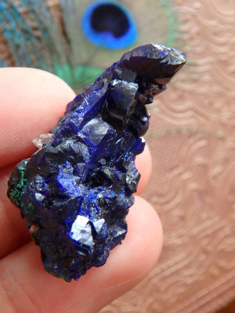 Gemmy Cobalt Blue Crystal Azurite  From Mexico - Earth Family Crystals
